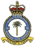30 Squadron Badge